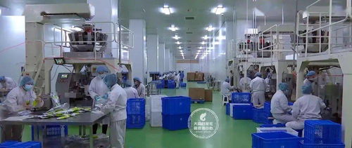 24小時無死角消毒，大同國際陸港嚴把進出口食品安全關(guān)